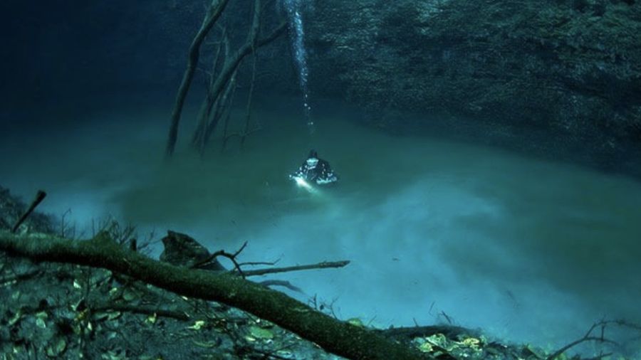 Bawah Laut